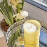Scented Candle | Narcissus Poeticus - Joik USA