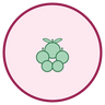 Saaremaa Lingonberry