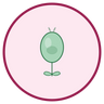 Organic Rosehip Oil