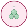 Erythrulose