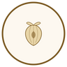 Organic Shea Butter