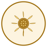 Organic Sunflower Oil
