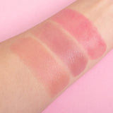 3 in 1 Makeup Stick | Mauve Magic