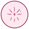 Rose Water