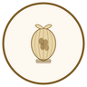 Organic Cocoa Butter