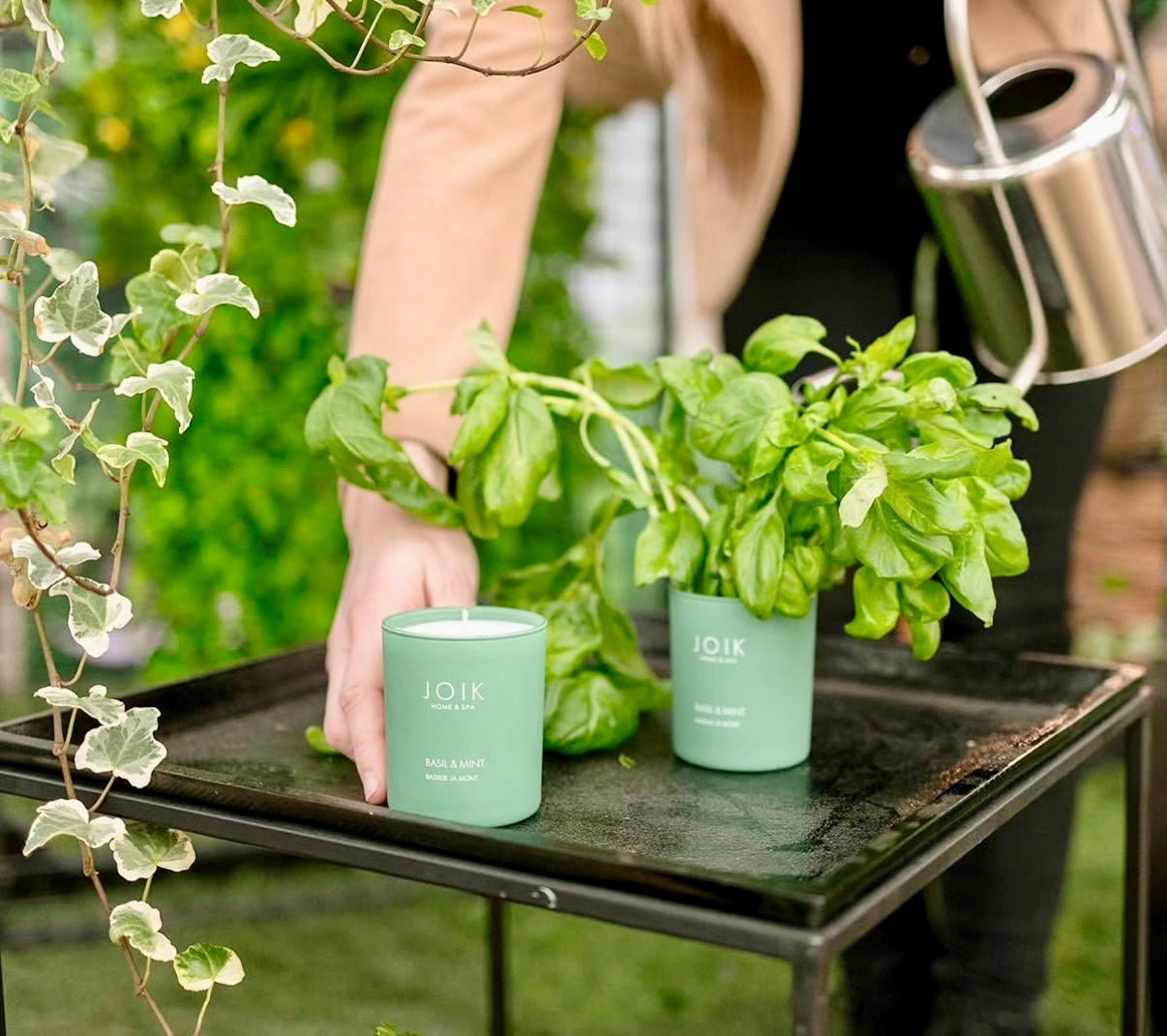 Scented Candle | Basil & Mint - Joik USA