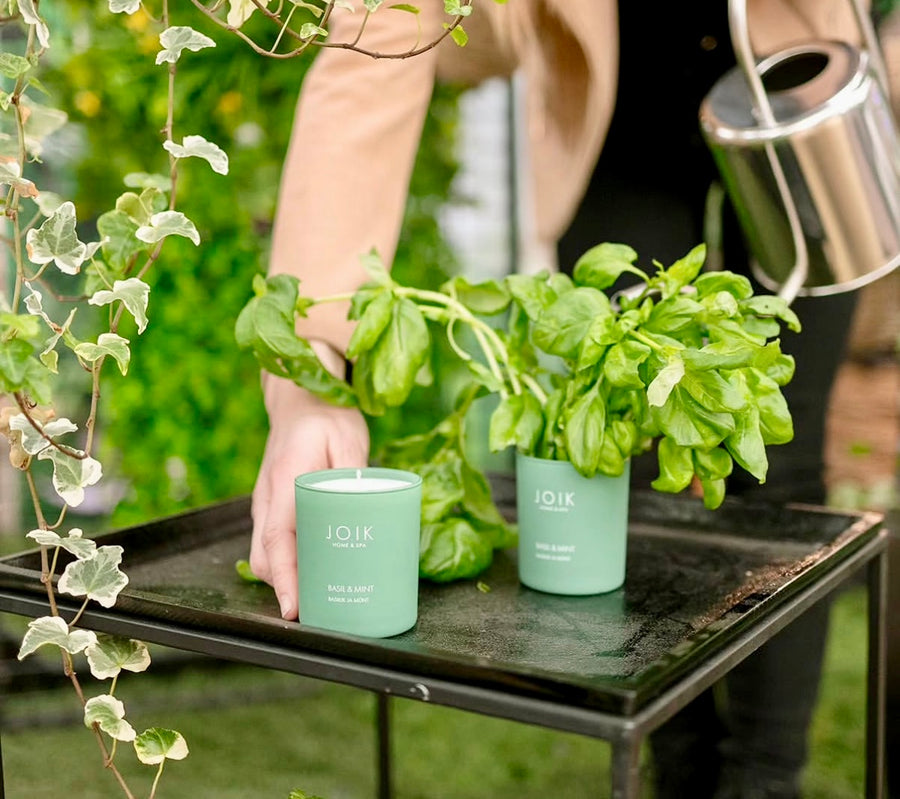 Scented Candle | Basil & Mint
