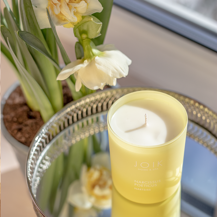 Scented Candle | Narcissus Poeticus
