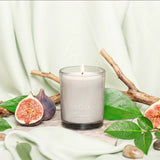 Scented Candle | Fig & Green Leaves