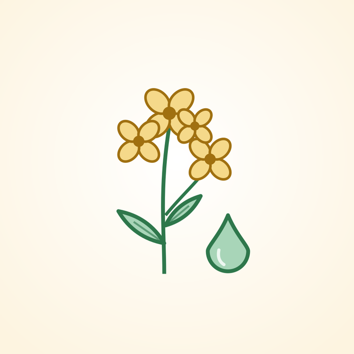 Rapeseed Oil