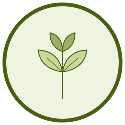 Spearmint Oil