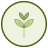 Spearmint Oil