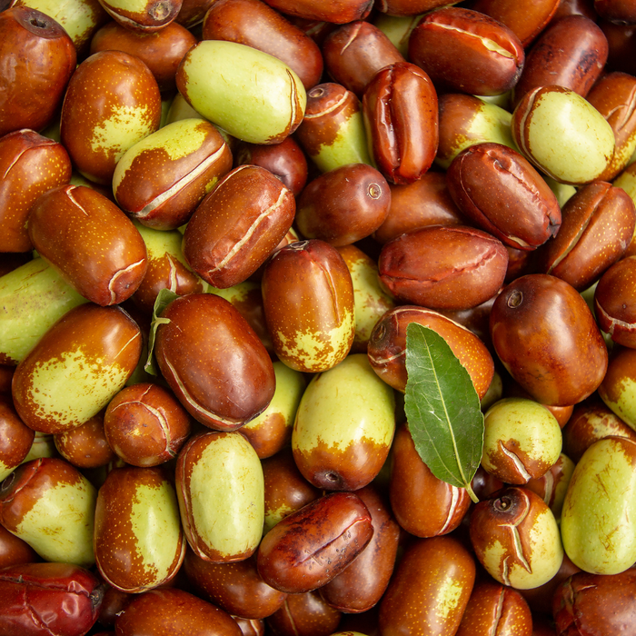 Organic Jojoba Oil